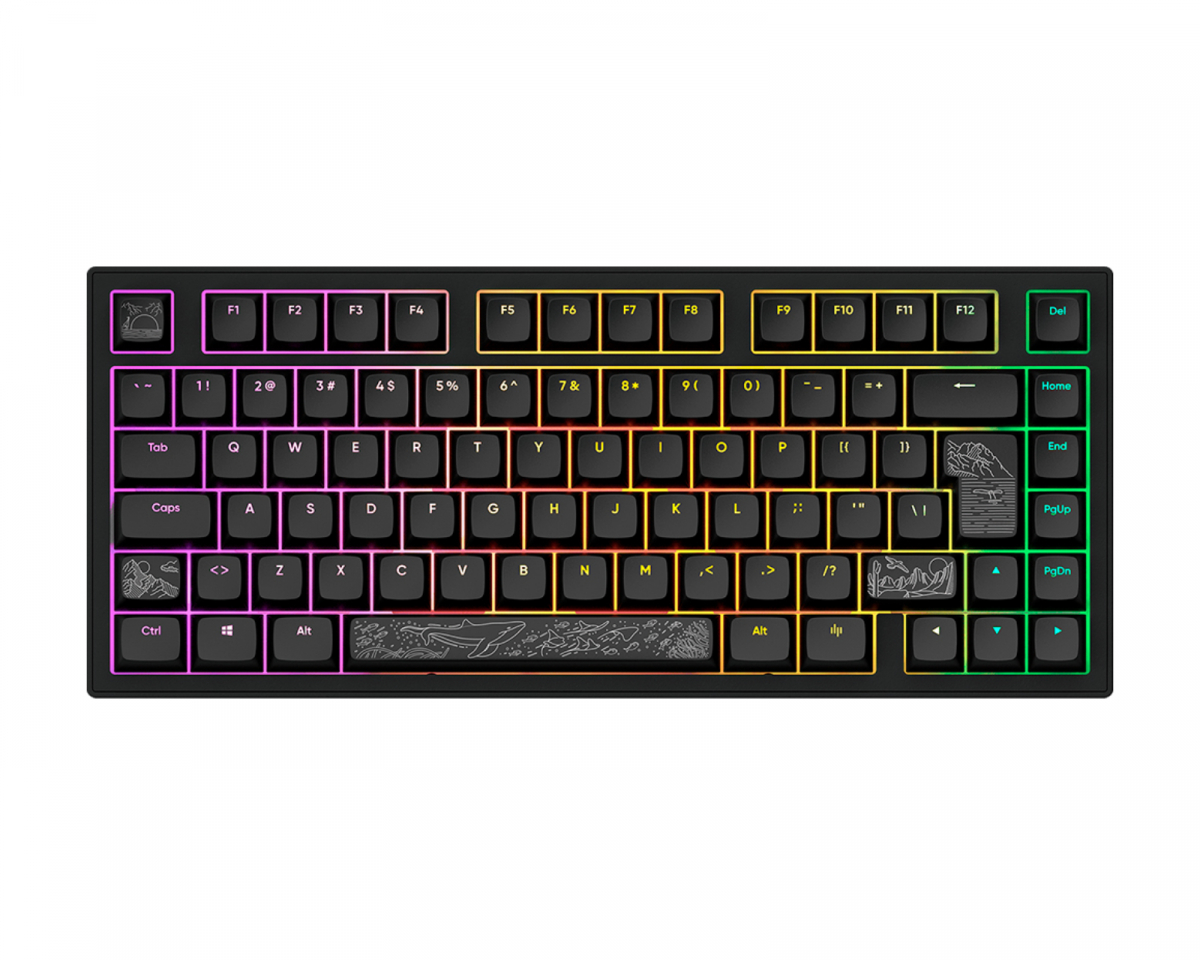 Dark Project ALU81 Gaming Tastatur RGB - Terra Nostra [g3ms Moonstone] - Svart