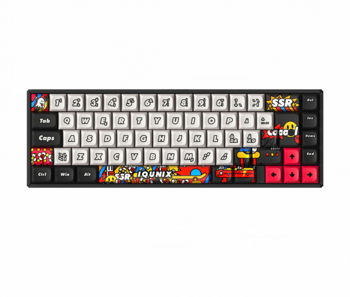 IQunix F65 Graffiti Diary 65% ​​​​Wireless Hotswap RGB Tastatur [TTC Holy Panda]