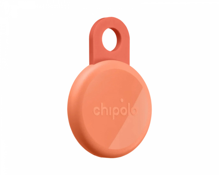  Loop - Item Finder - Coral