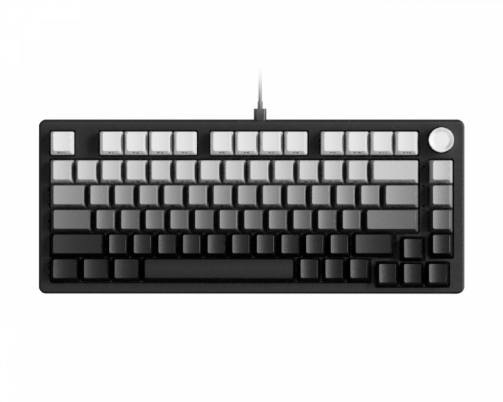  DK75 Gamingtastatur ANSI - Gradient Black