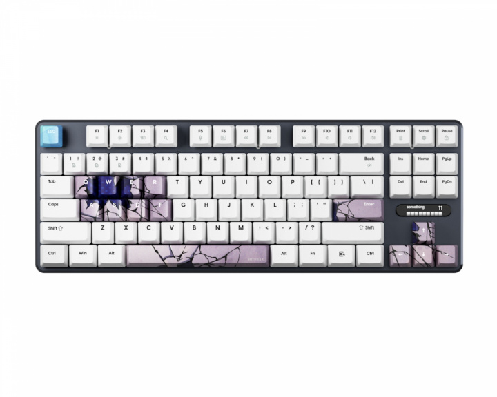  PCMK 3 HE TKL Tastatur ANSI - Something Edition