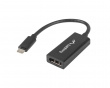 USB-C Han til Displayport Hun Adapter