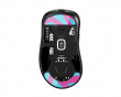 Glass Skates til Pulsar Xlite Series - Miami - Nachocustomz Edition