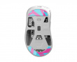 Glass Skates til Pulsar Xlite Series - Miami - Nachocustomz Edition