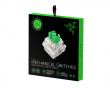 Mechanical Switches - Green Clicky Switch (36-Pack)