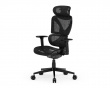 SpineX Pro Ergonomisk Kontorstol - Svart