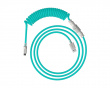 USB-C Coiled Cable - Lysegrønn / Hvit