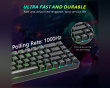AmpliGame GK1 ANSI Gaming Tastatur - Svart