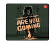 Summer Camp Bear - Gaming Musematte - XL