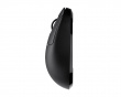 TenZ Signature Edition Gamingmus
