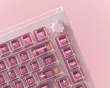 A75 Master - Hall Effect Gaming Tastatur ANSI - Champagne Pink [TTC POM]