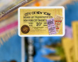 Ticket To Ride New York - Brettspill (Nordisk)