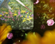 The Return Glass Musematte – Limited Edition The Return Glass Musematte – Limited Edition