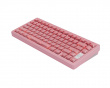 Slice75 HE Gaming Tastatur ANSI - Rosa