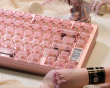 Slice75 HE Gaming Tastatur ANSI - Rosa