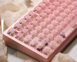 Slice75 HE Gaming Tastatur ANSI - Rosa