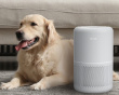 Core 300S Pro Smart HEPA Luftfukter
