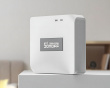 Smart ZigBee Bridge Pro ZB Bridge-P
