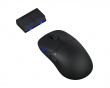 TenZ Mini Signature Edition 2.0 Gamingmus - Svart