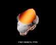 Origin Orange Universal PTFE Mouse Dots - 20 stk