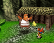 Banjo-Kazooie Double Pack Cartridge 
