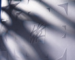 Ice Glass Musematte