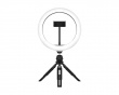 LIGHT - 10” Ring Light - Svart (DEMO)