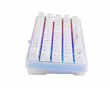 WK70 RGB 60% Membrantastatur (DEMO)