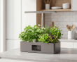 Hydroponisk Dyrkingssystem med LED – Innendørshage for 12 Planter (DEMO)