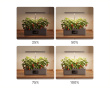 Hydroponisk Dyrkingssystem med LED – Innendørshage for 12 Planter (DEMO)