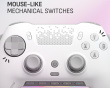 Envision Pro Trådløs V2 (2025) Kontroller for PC - Hvit (DEMO)