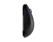 TenZ Mini Signature Edition 2.0 Gamingmus - Svart (DEMO)